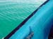 pulau_besar_62