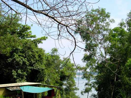 pulau_sejahat_045
