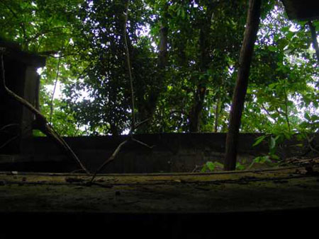 pulau_sejahat_050