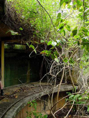 pulau_sejahat_058