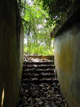 pulau_sejahat_087