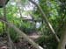 pulau_sejahat_115