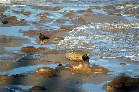 sandon_point_018