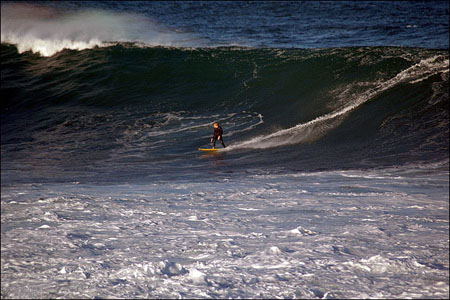 sandon_point_021