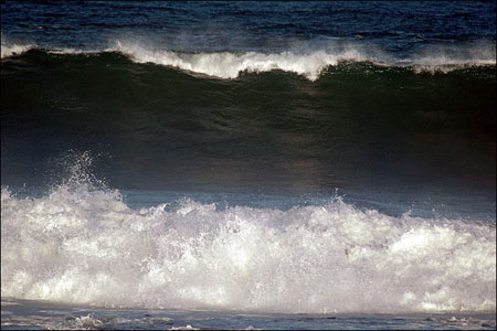 sandon_point_024
