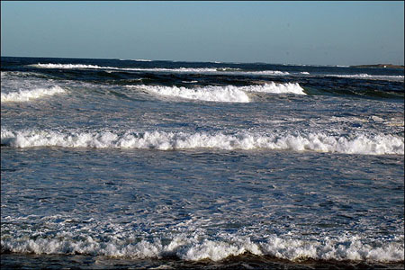 sandon_point_029