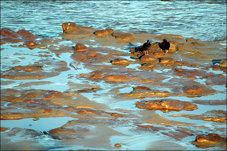 sandon_point_031