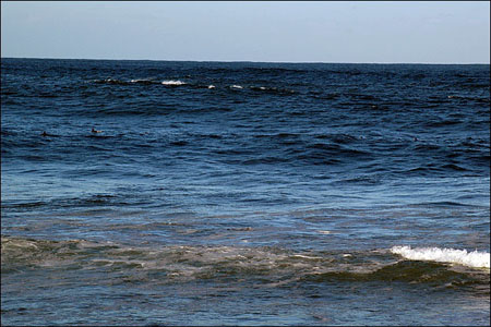 sandon_point_041