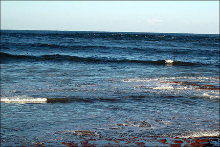 sandon_point_042