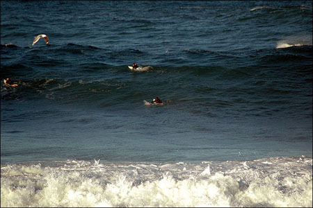 sandon_point_045