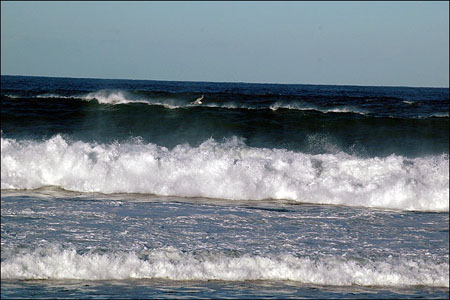 sandon_point_046