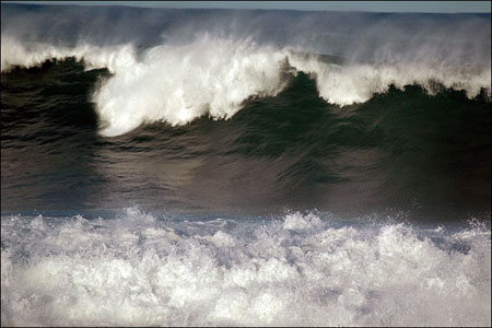 sandon_point_048