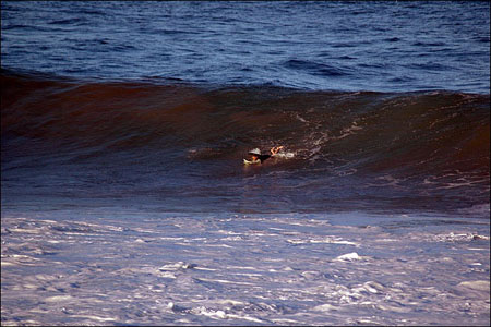 sandon_point_069