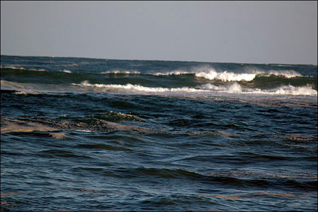 sandon_point_071