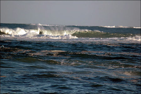 sandon_point_073