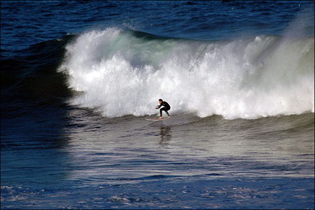 sandon_point_088