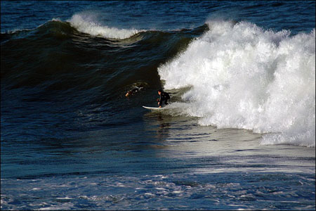 sandon_point_089