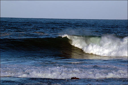 sandon_point_123