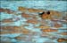 sandon_point_031