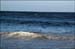 sandon_point_040