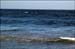 sandon_point_041