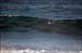 sandon_point_043