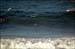 sandon_point_045