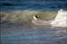 sandon_point_058