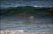 sandon_point_060