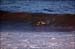 sandon_point_069
