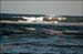 sandon_point_072