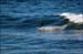 sandon_point_078
