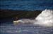 sandon_point_094