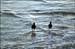 sandon_point_099