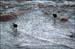 sandon_point_101