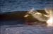 sandon_point_111