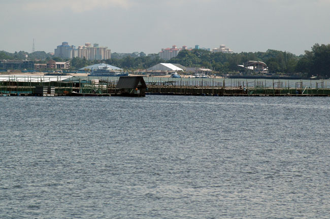 sungei_buloh_19