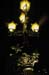 d7_evening_13
