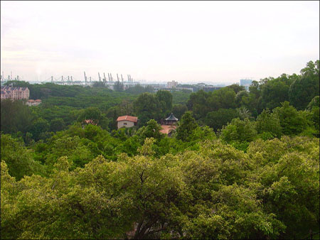 kent_ridge_35