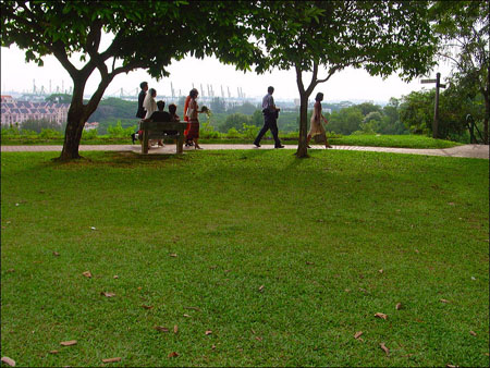 kent_ridge_36