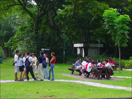 kent_ridge_47