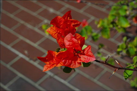 2005_october_52