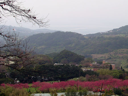 taiwan_12_feb_17